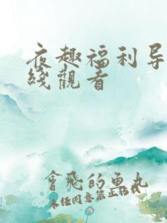 夜趣福利导航在线观看