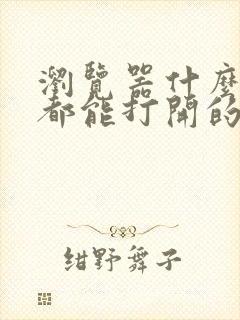 浏览器什么网站都能打开的