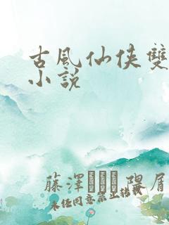 古风仙侠双男主小说