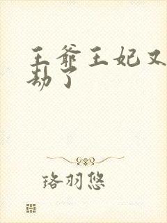 王爷王妃又去打劫了