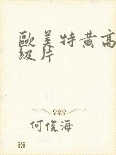 欧美特黄高清一级片