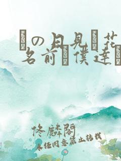 あの日见た花の名前を仆达はまだ知らない