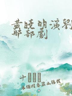 黄晓明演刘彻是哪部剧