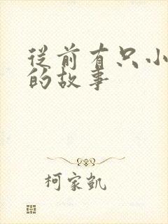 从前有只小兔子的故事