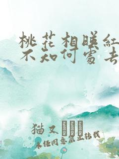 桃花相映红人面不知何处去桃花依旧笑春风