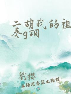 二胡我的祖国伴奏g调