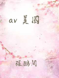 av 美国