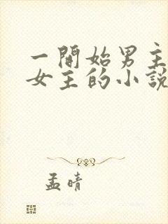 一开始男主想杀女主的小说