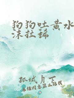 狗狗吐黄水带泡沫拉稀