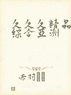 久久久精品国产综合亚洲