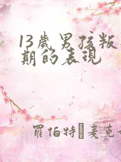 13岁男孩叛逆期的表现