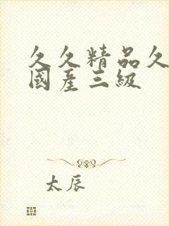 久久精品久久久国产三级