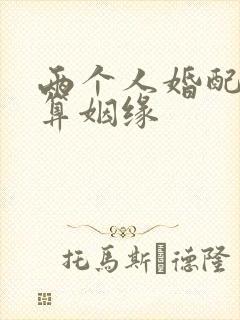 两个人婚配免费算姻缘