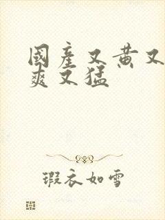 国产又黄又大又爽又猛