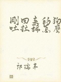 刚回来的狗狗呕吐拉稀怎么办?