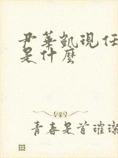 尹华凯现任职务是什么