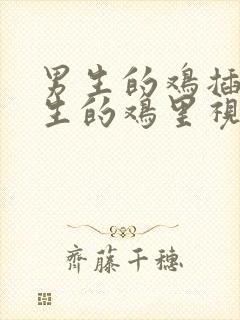 男生的鸡插进女生的鸡里视频