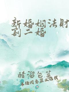 新婚姻法财产分割二婚