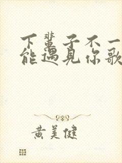 下辈子不一定还能遇见你歌词