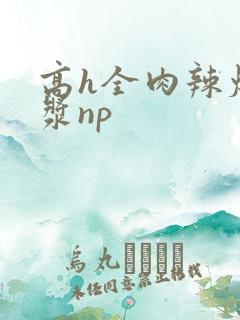 高h全肉辣爆灌浆np