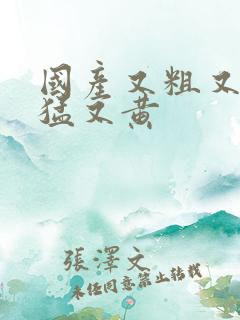 国产又粗又爽又猛又黄