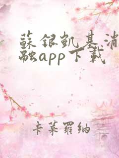 苏银凯基消费金融app下载