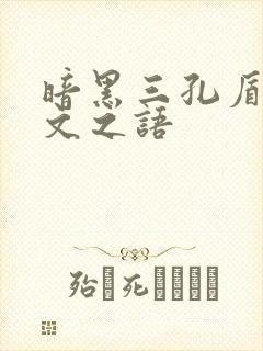 暗黑三孔盾牌符文之语