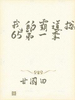 我的霸道总裁365第一季