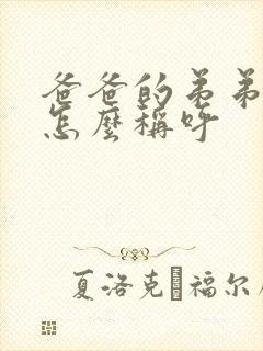 爸爸的弟弟老婆怎么称呼