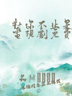 对你不止是喜欢电视剧免费观看全集