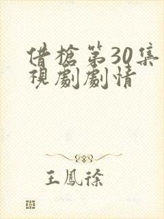 借枪第30集电视剧剧情