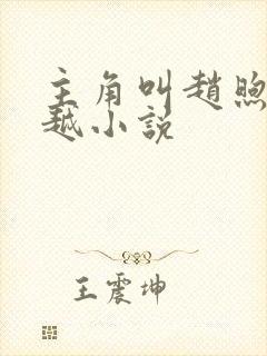 主角叫赵煦的穿越小说