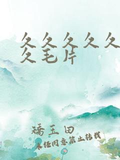 久久久久久久久久毛片