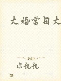 大婚当日大结局