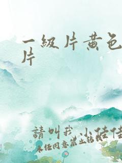 一级片黄色录像片