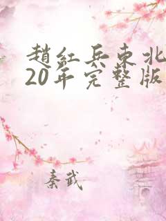 赵红兵东北往事20年完整版