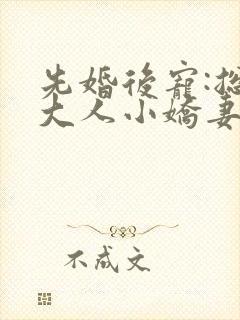 先婚后宠:总裁大人小娇妻小说