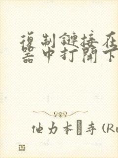 复制链接在浏览器中打开下载