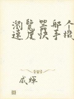 浏览器哪个好用速度快手机