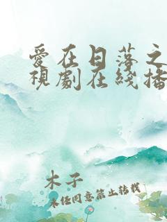 爱在日落之前电视剧在线播放