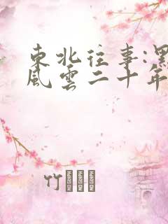 东北往事:黑道风云二十年