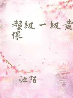 超级一级黄色录像
