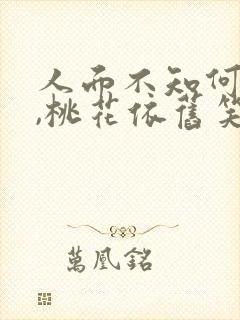 人面不知何处去,桃花依旧笑春风啥意思