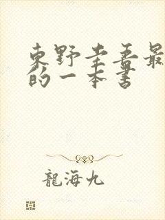 东野圭吾最好看的一本书