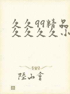 久久99精品久久久久久小说