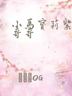 小马宝莉紫悦的哥哥