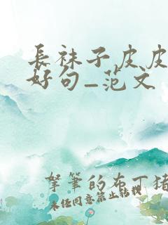 长袜子皮皮好词好句_范文