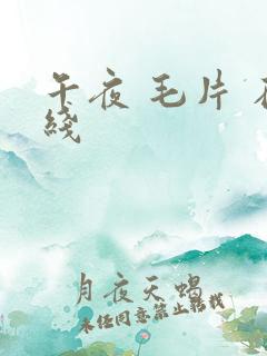 午夜 毛片 在线