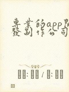 专业的app开发制作公司