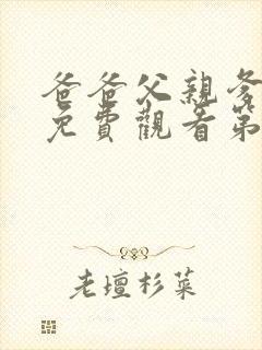 爸爸父亲爹全集免费观看第4集